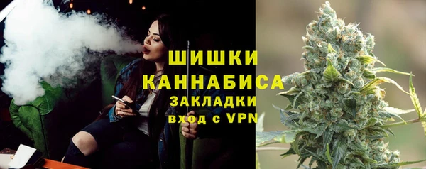 молекула духа Михайлов