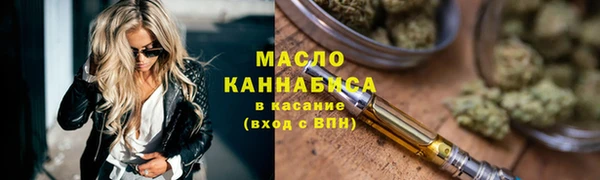 молекула духа Михайлов