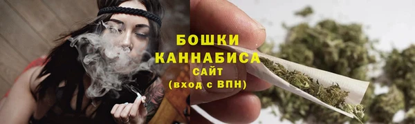 молекула духа Михайлов