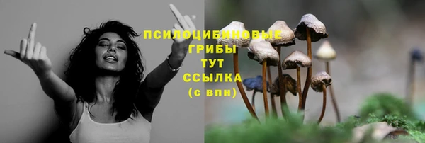 молекула духа Михайлов