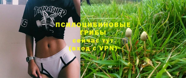молекула духа Михайлов