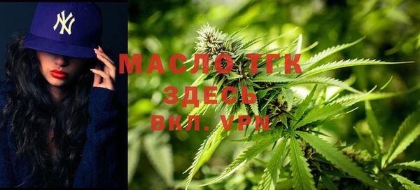 молекула духа Михайлов