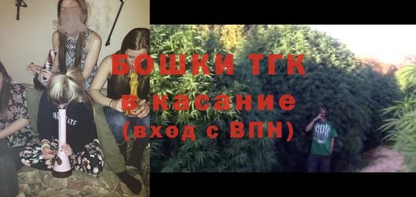 молекула духа Михайлов