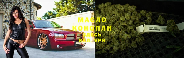 молекула духа Михайлов